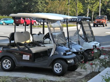 Peachtree City, Georgia - My Favorite Golf Cart Community. Here's Why