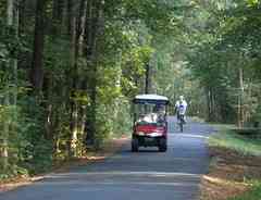 golf cart rental peachtree city